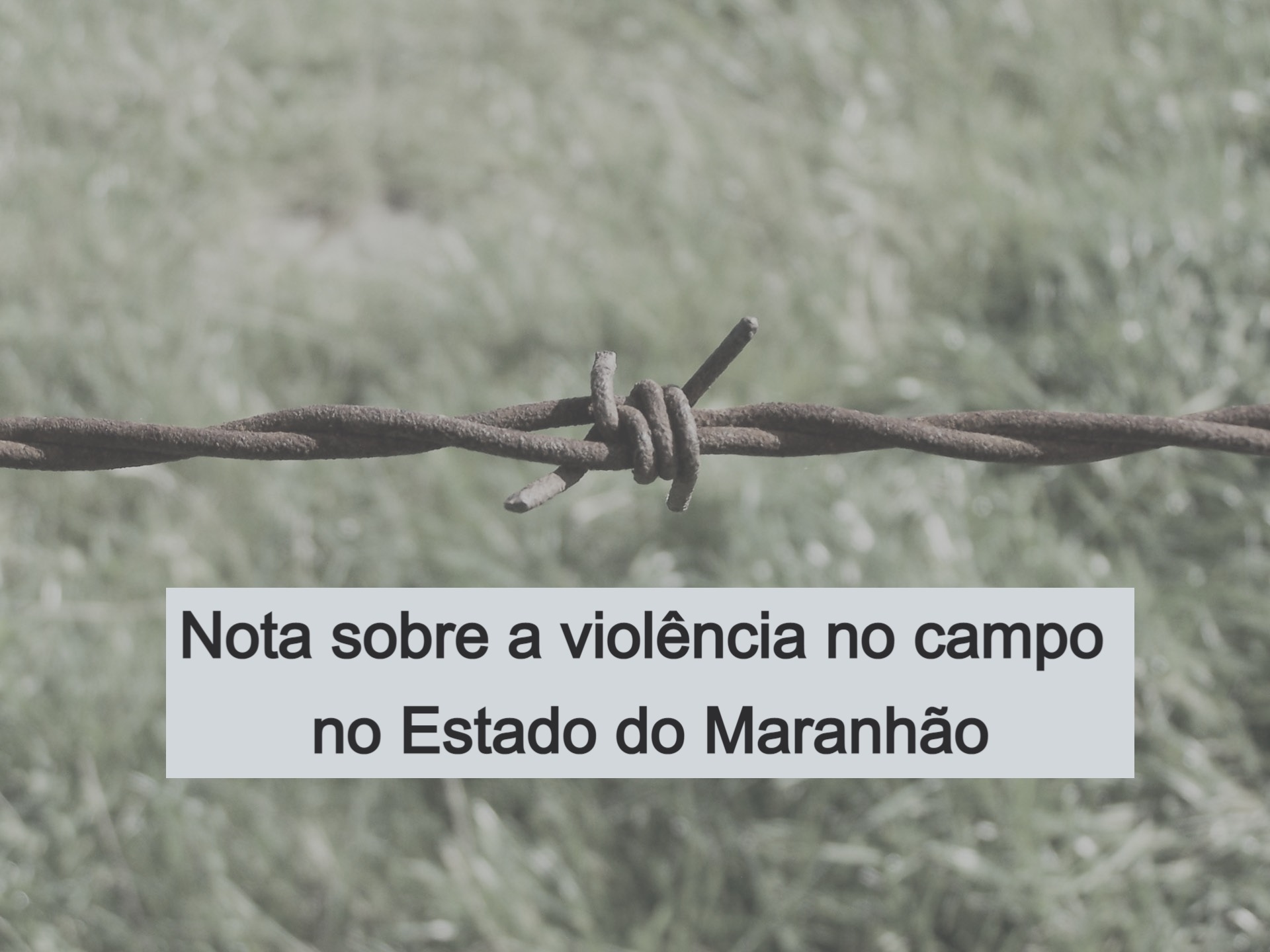 Em nota, Bispos do Maranhão alertam sobre o crescimento dos conflitos agrários